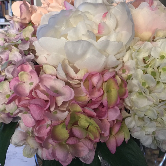 Meet your Posher, Marilyn - Picture 1 of 1